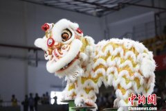 2019年广东省龙狮锦标赛开赛 155支龙狮队竞技